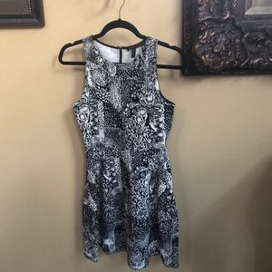 BCBG Black and white dress